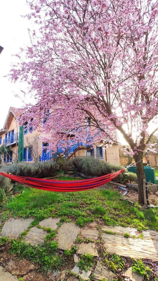 Albergue De Peregrinos Casa Flor Murias de Rechivaldo Exteriör bild