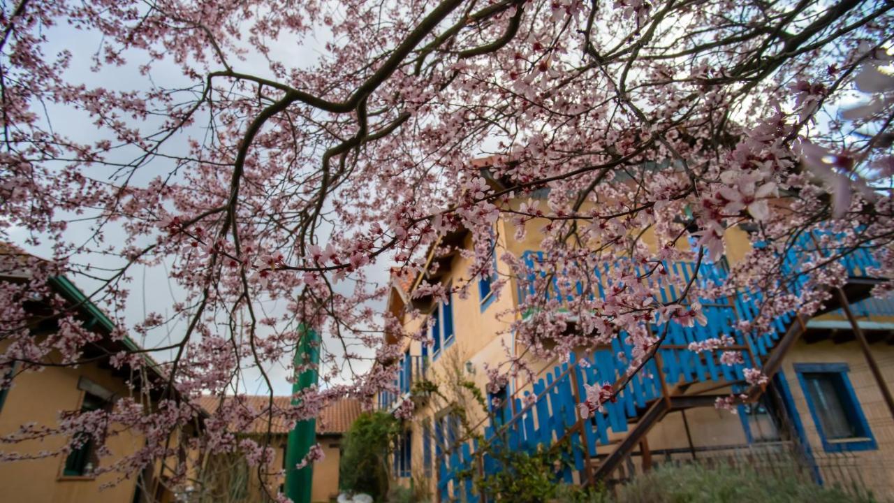 Albergue De Peregrinos Casa Flor Murias de Rechivaldo Exteriör bild